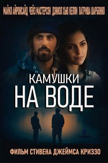 Камушки на воде