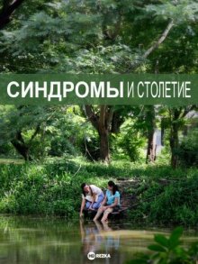 Синдромы и столетие